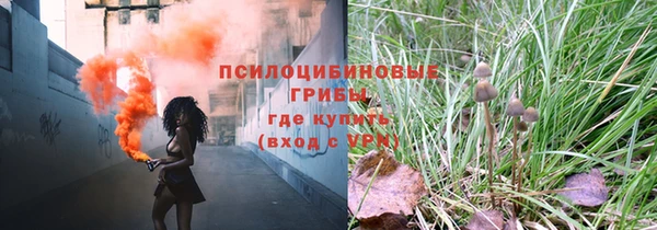 прущая мука Пересвет